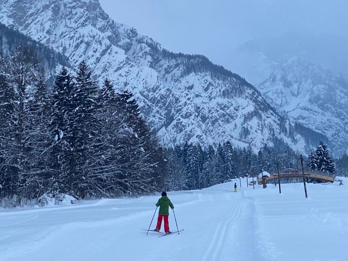 Appartamento Alpine Centre *