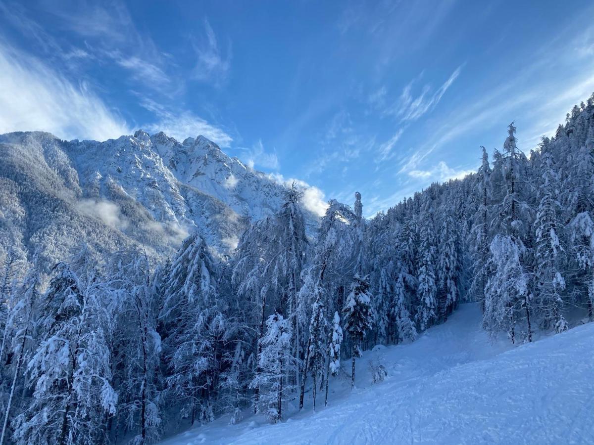 Appartamento Alpine Centre